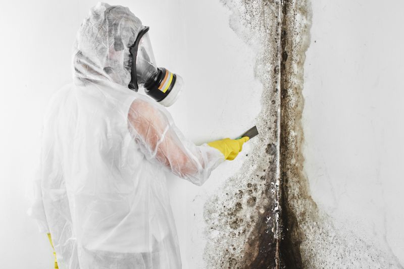 Attic Mold Removal in Fort Lauderdale, FL