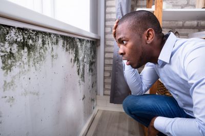 Mold Control in Mckinney, TX