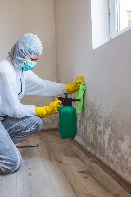 Mold Mitigation Service in Fort Worth, TX