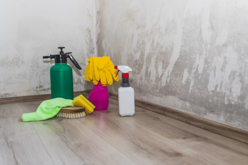 Mold Removal in Essex County, NJ