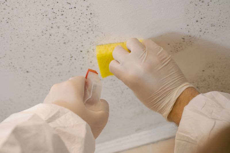 White Mold Mitigation in Fort Worth, TX