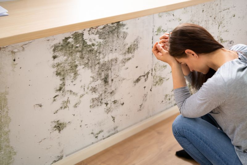Home Mold Testing