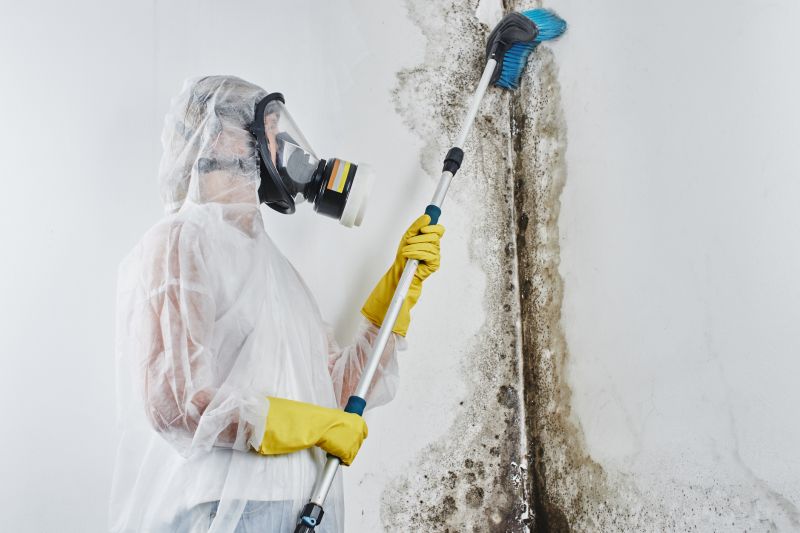 Attic Mold Remediation in Fort Lauderdale, FL