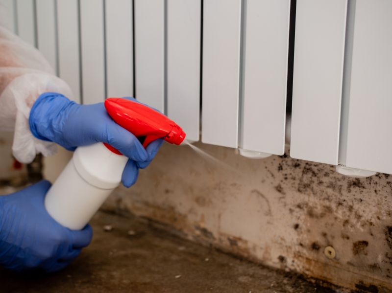 Basement Mold Remediation in Frisco, TX