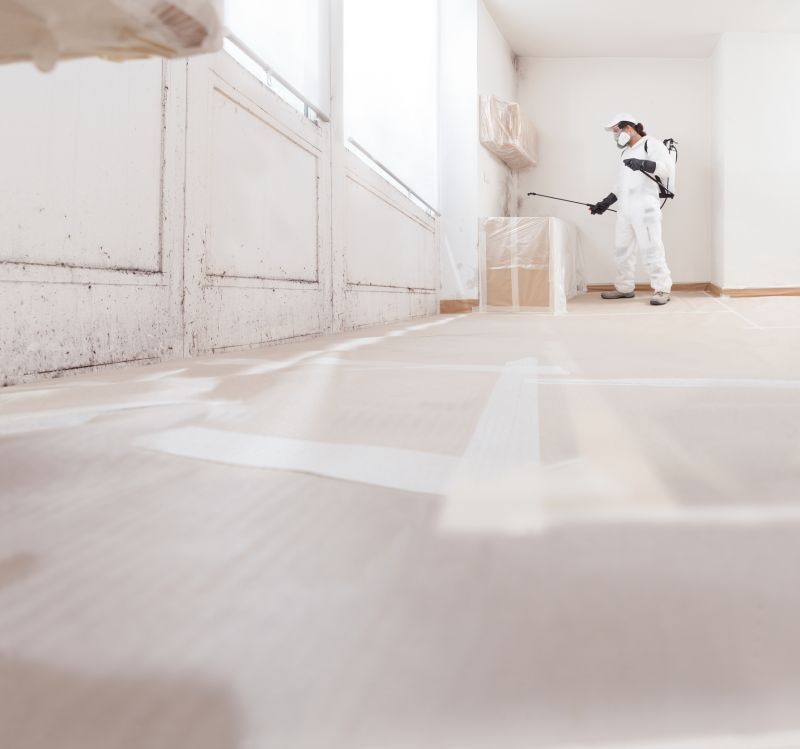 Basement Mold Removal in Fort Worth, TX