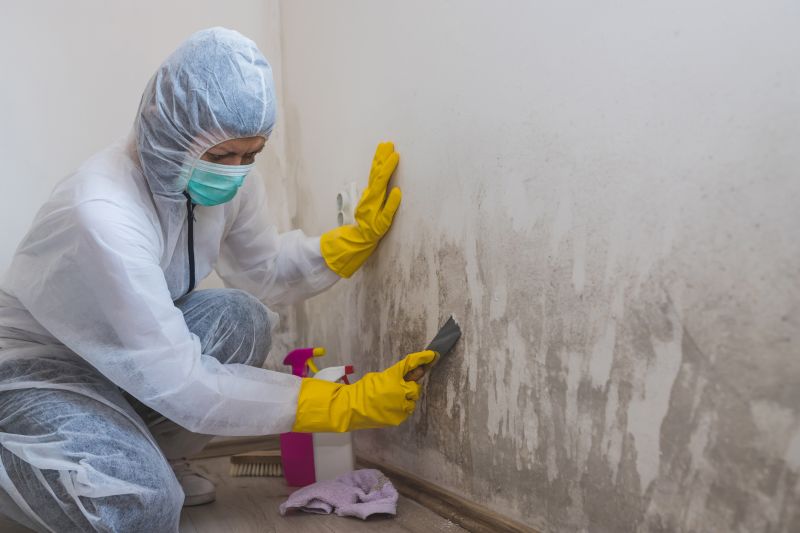 Basement Mold Removal in Jupiter, FL