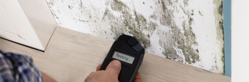 Home Mold Testing
