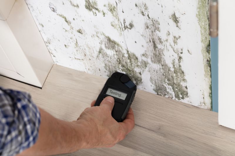 Home Mold Testing
