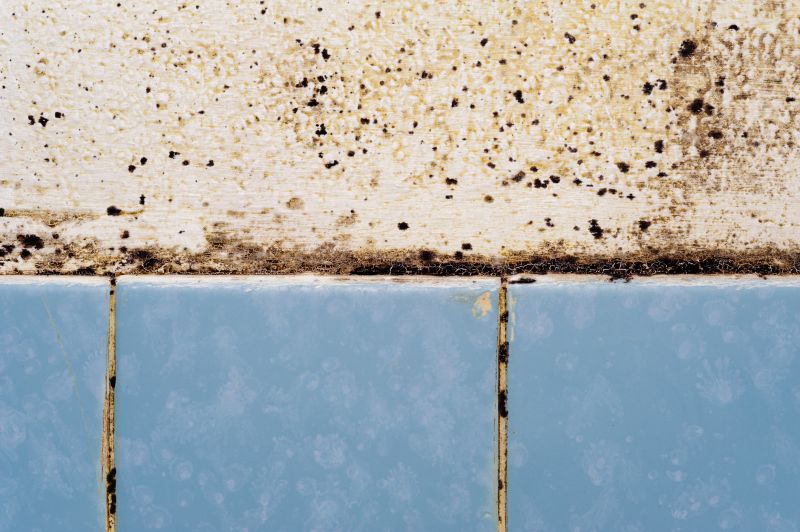 Common Areas for Mold Growth