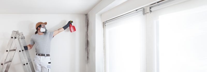 Mold Removal in Essex County, NJ