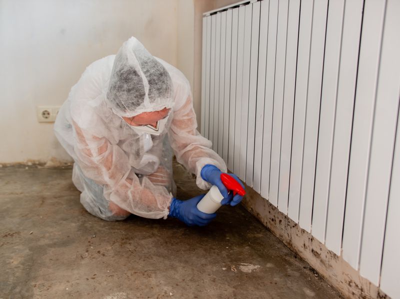 Mold Removal in Fort Lauderdale, FL