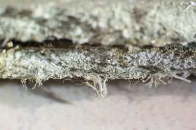 Vermiculite Removal Service in Old Bridge, NJ