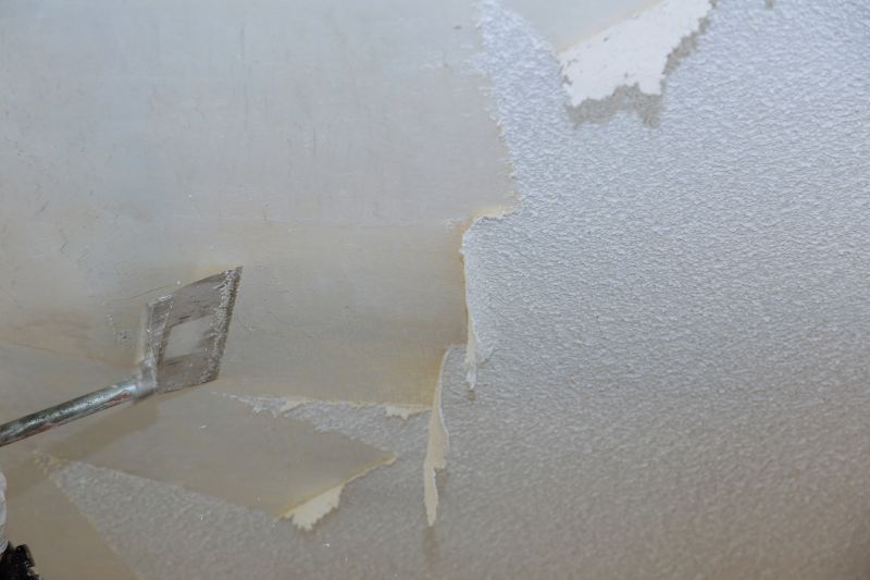 Vermiculite Removal Service in Bergen County, NJ
