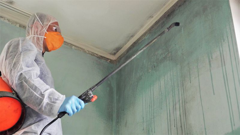 White Mold Mitigation in Boca Raton, FL